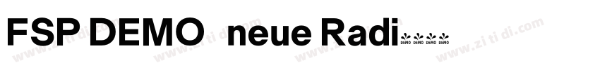 FSP DEMO   neue Radi字体转换